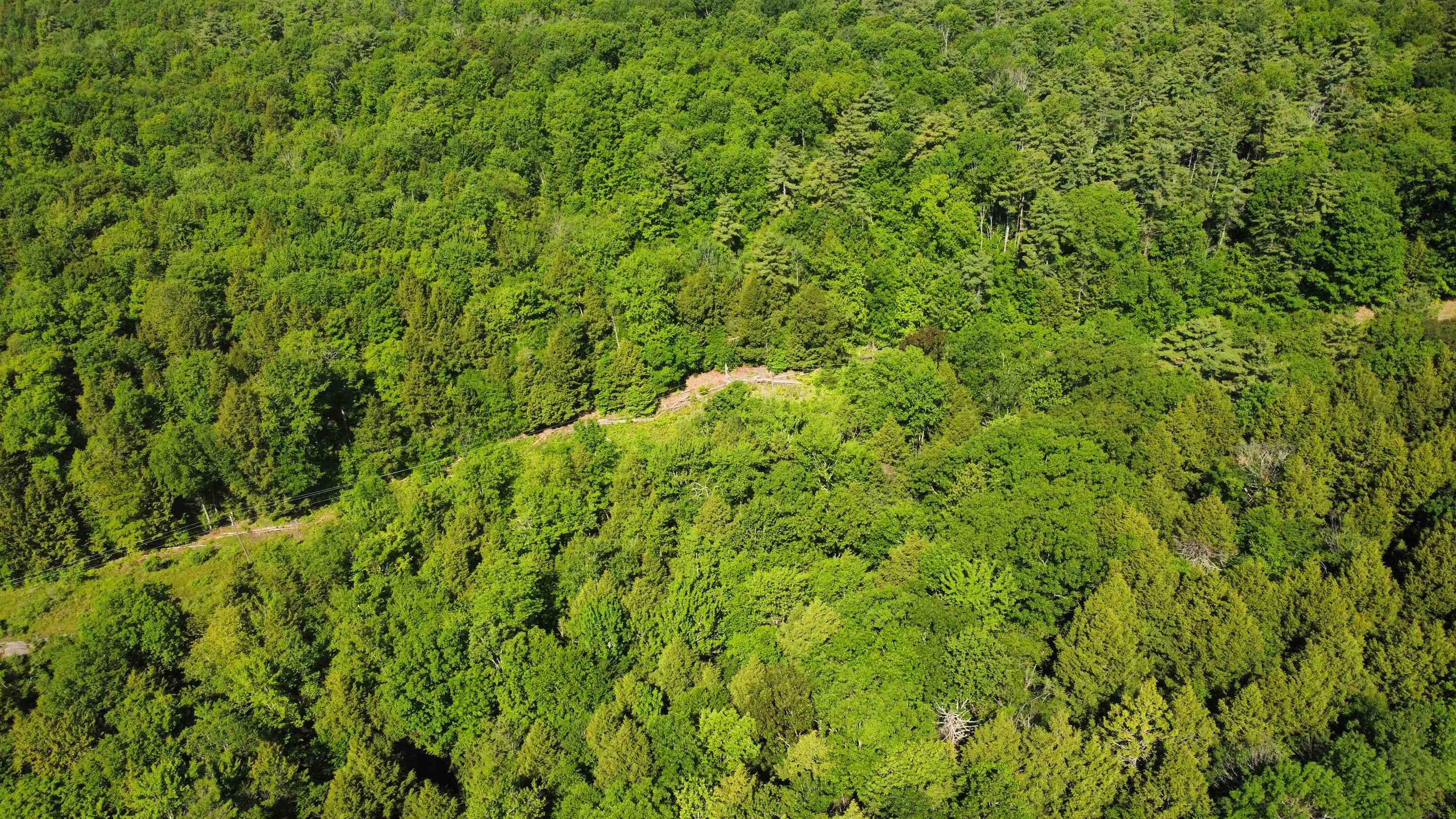 0 Bullfrog Hollow Road Wells, VT 05774 - Photo 23 of 26