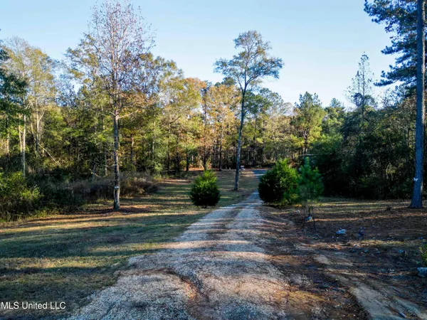 $153,000 | 54 New St Paul Church Drive, Waynesboro, MS 39367
