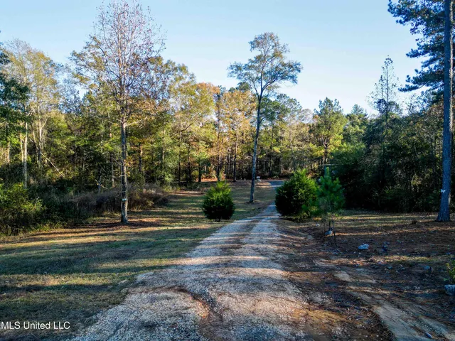 $155,000 | 54 New St Paul Church Drive, Waynesboro, MS 39367