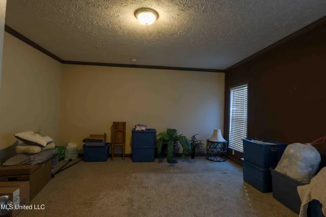 $155,000 | 54 New St Paul Church Drive, Waynesboro, MS 39367