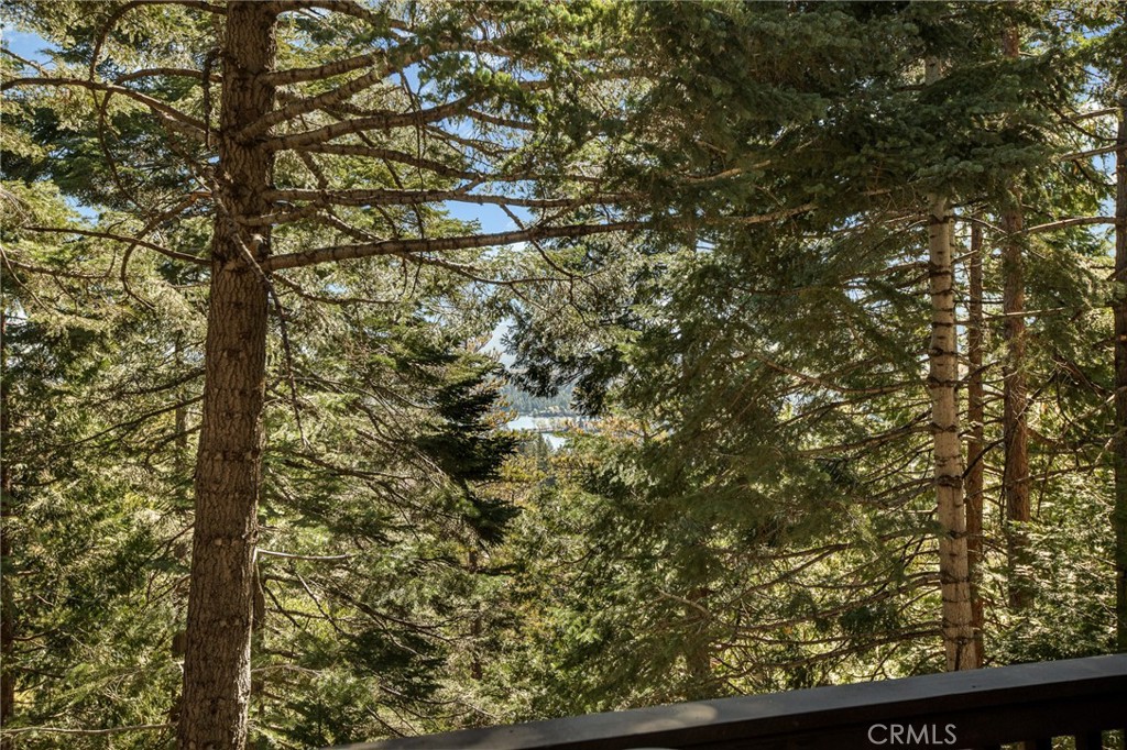 279 Old Toll Road Lake Arrowhead, CA 92352 - Photo 19 of 32