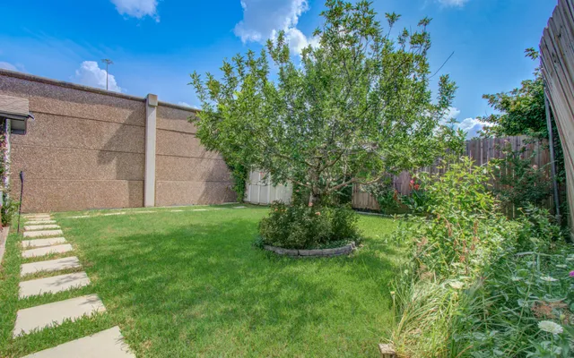 a view of a backyard with plants