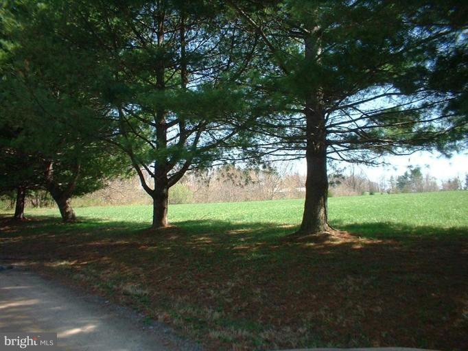 36127 Bell Road Round Hill, VA 20141 - Photo 8 of 8 Wooded View / Acreage