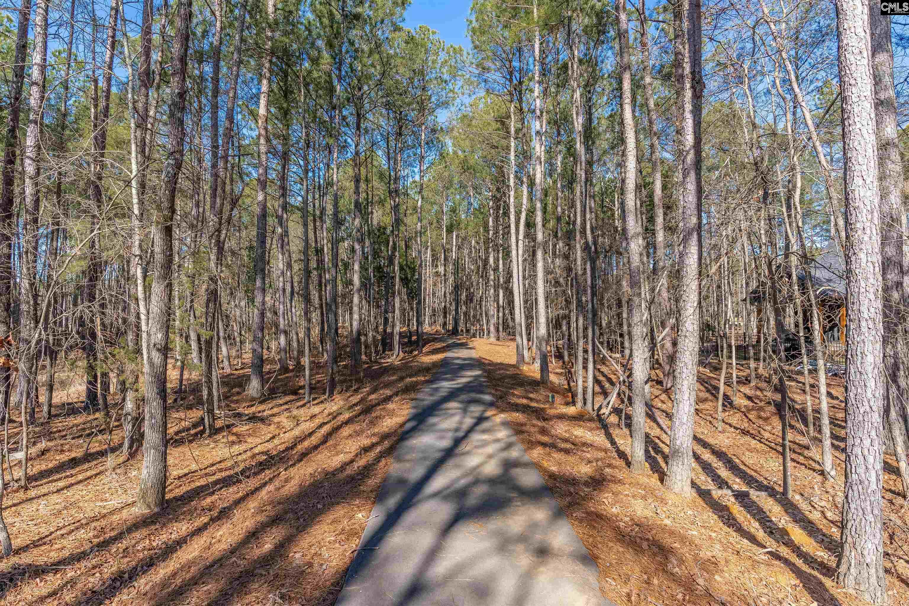 Lot 225 Granny Hill Road Prosperity, SC 29127 - Photo 15 of 17
