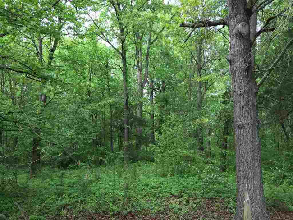 0 Millden Hall Road Anderson, SC 29625 - Photo 1 of 8 Gallery Image 1