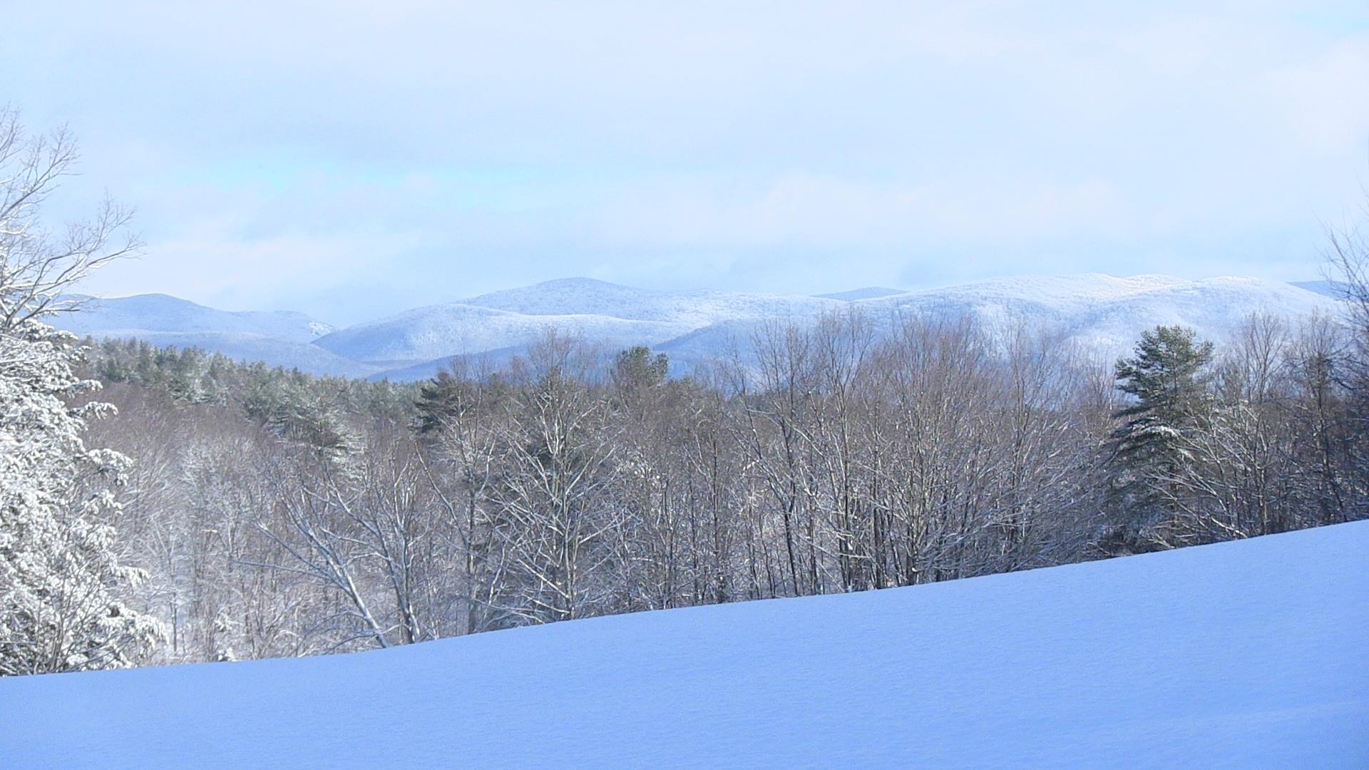 1670 High Pond Road Brandon, VT 05733 - Photo 32 of 39