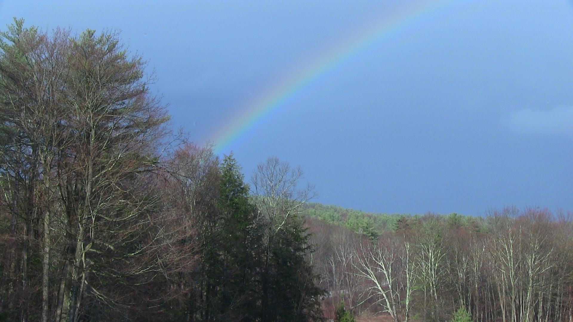 1670 High Pond Road Brandon, VT 05733 - Photo 34 of 39