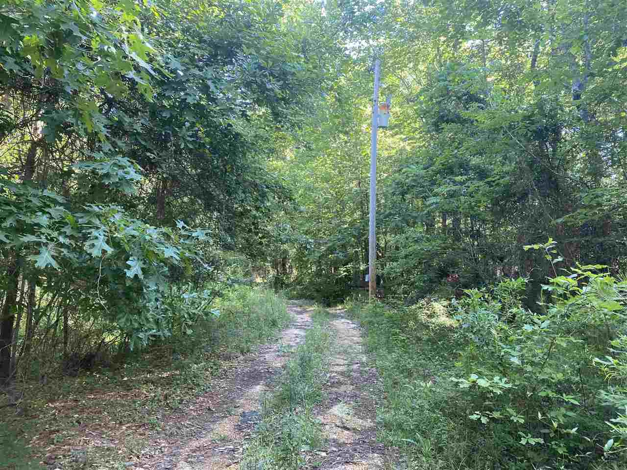 0 South County Line Road Florence, MS 39073 - Photo 4 of 5 Photo 4