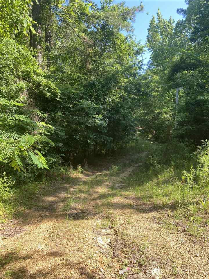 0 South County Line Road Florence, MS 39073 - Photo 5 of 5 Photo 5