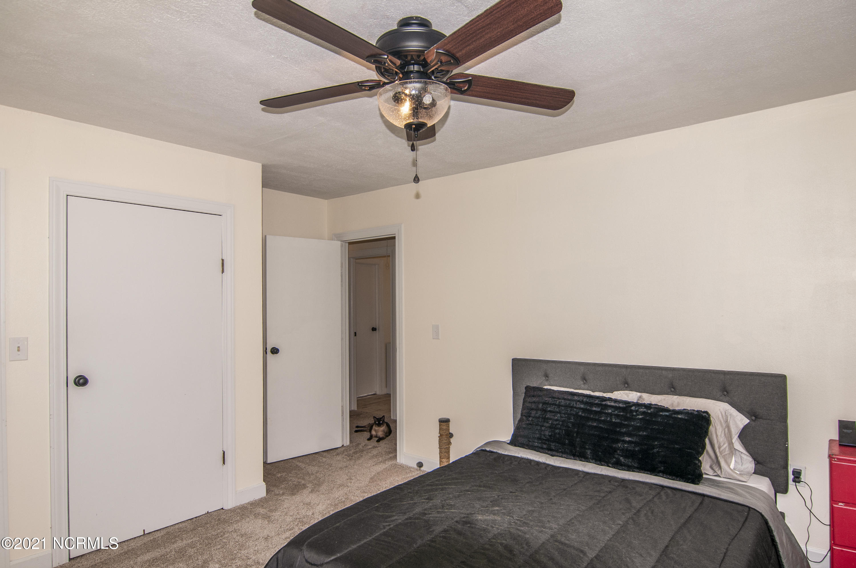 689 Loop Road Pantego, NC 27860 - Photo 51 of 71 stills0035400001