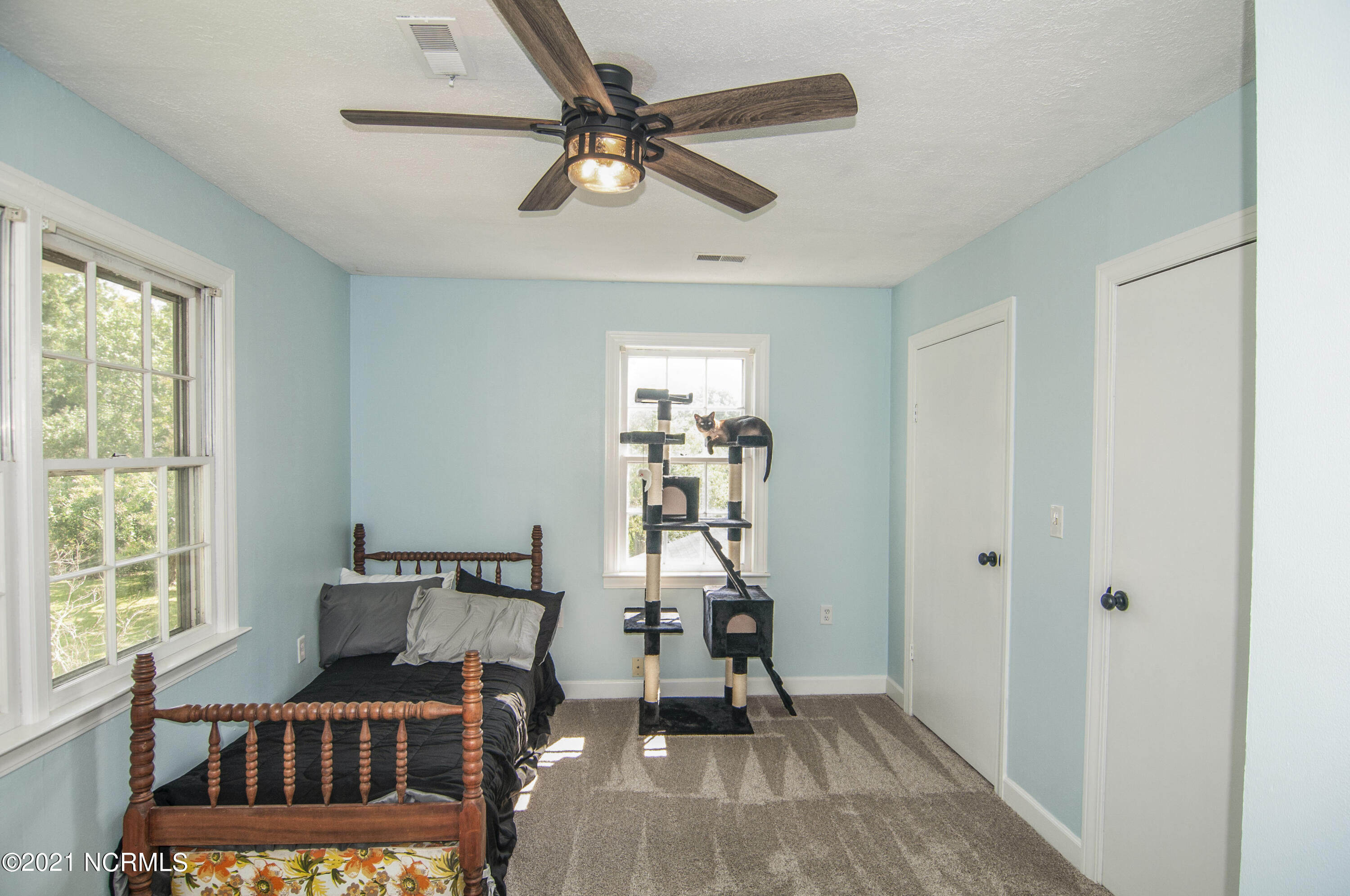 689 Loop Road Pantego, NC 27860 - Photo 54 of 71 stills0034600001