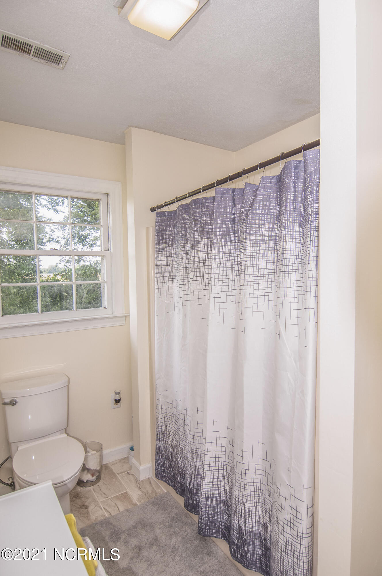 689 Loop Road Pantego, NC 27860 - Photo 57 of 71 stills0035000001