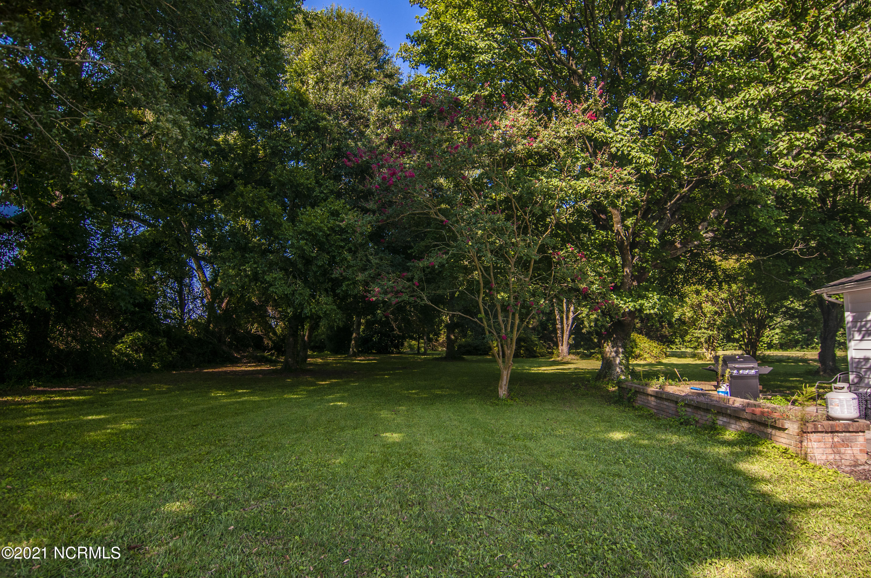 689 Loop Road Pantego, NC 27860 - Photo 60 of 71 stills0036900001