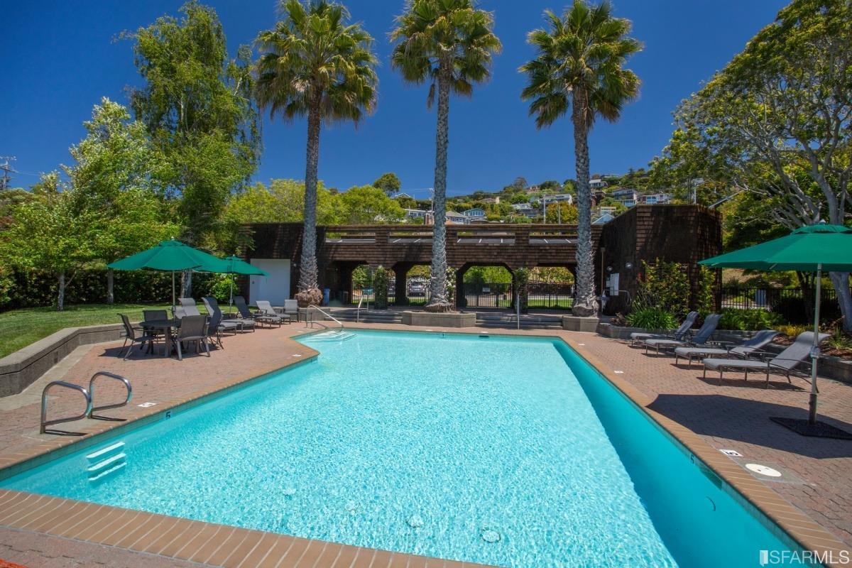 15 Lagoon Road Tiburon, CA 94920 - Photo 28 of 39 Now that's a pool!