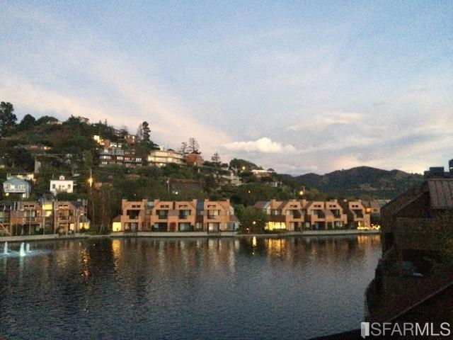15 Lagoon Road Tiburon, CA 94920 - Photo 8 of 39 Gallery Image 8