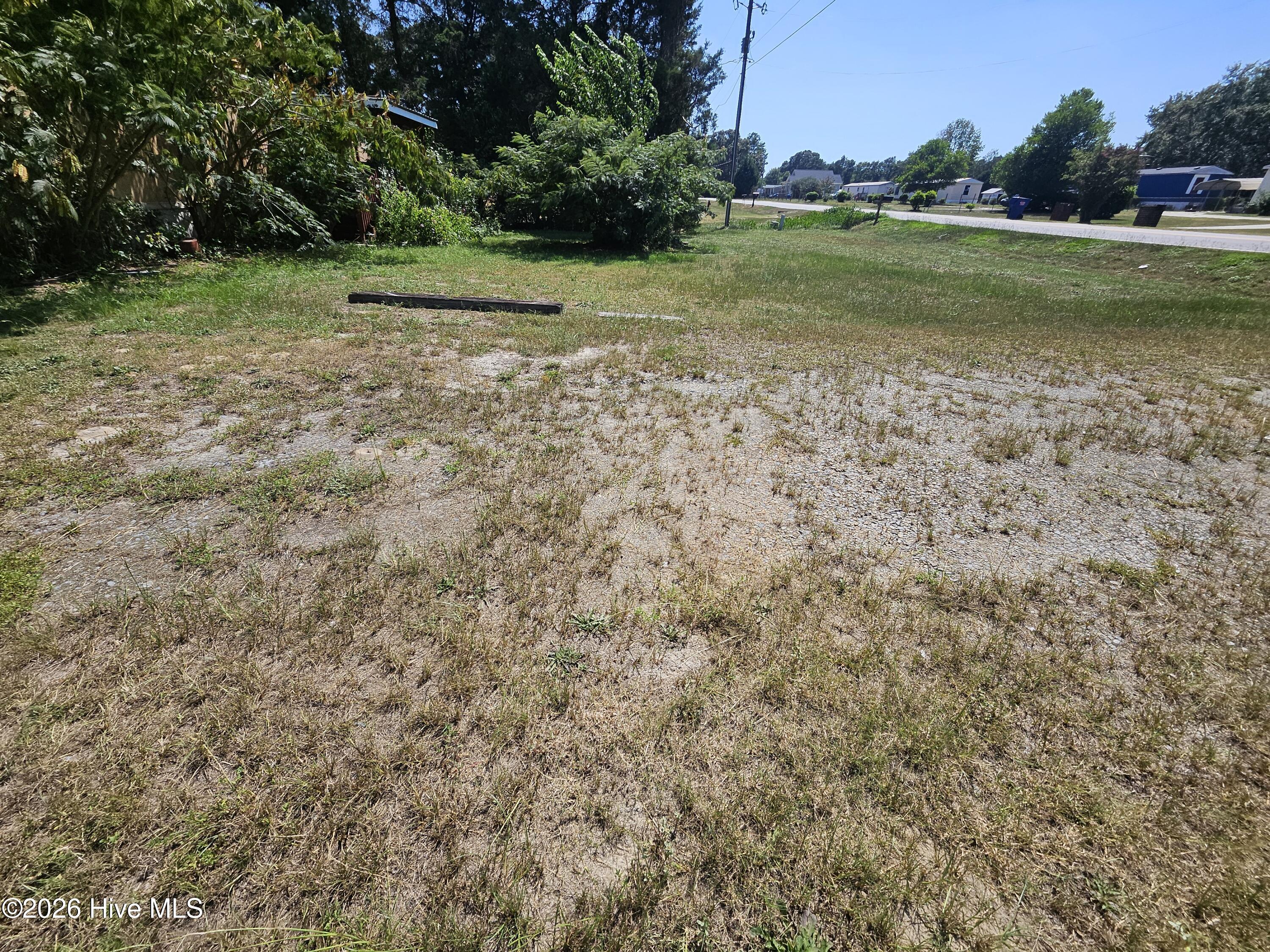 341 Durham Lake Road Dudley, NC 28333 - Photo 2 of 10 Gallery Image 2
