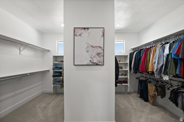 507 West Windmill Gate Cove Draper, UT 84020 - Photo 28 of 46 Walk in closet featuring light colored carpet