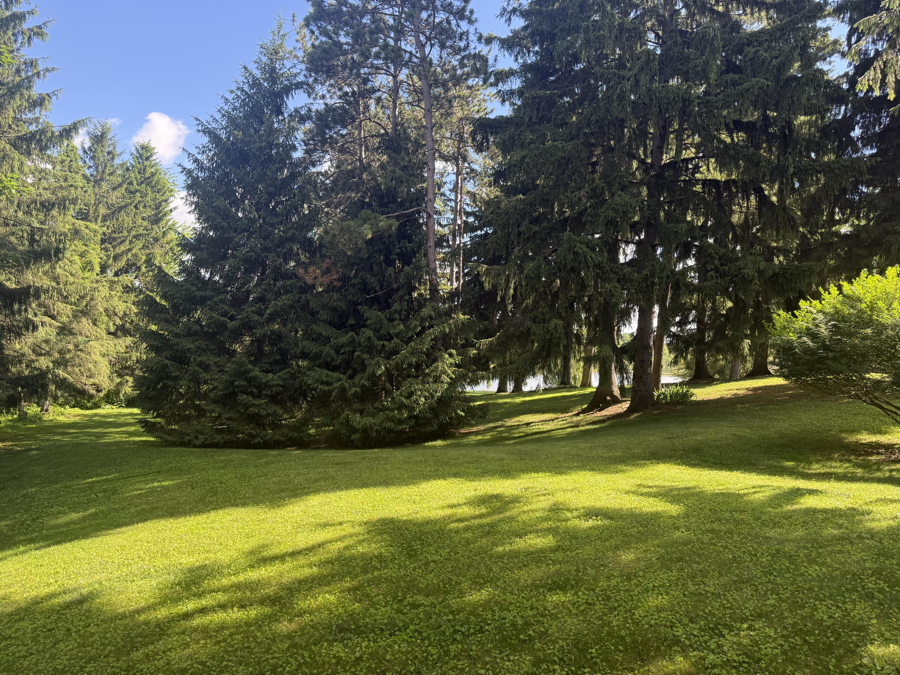 6150 Willow Road West Bloomfield, MI 48324 - Photo 41 of 52 y11