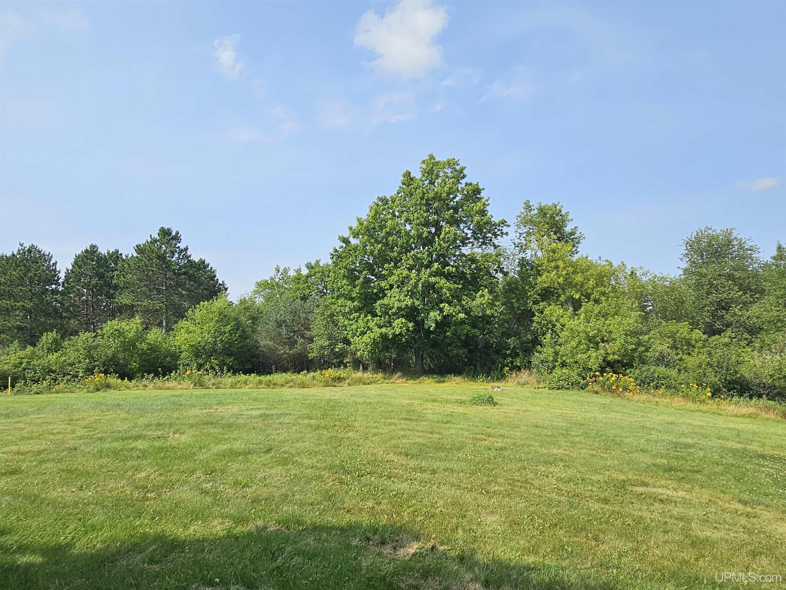 125 Baumgartner Road Iron River, MI 49935 - Photo 26 of 91 Gallery Image 26
