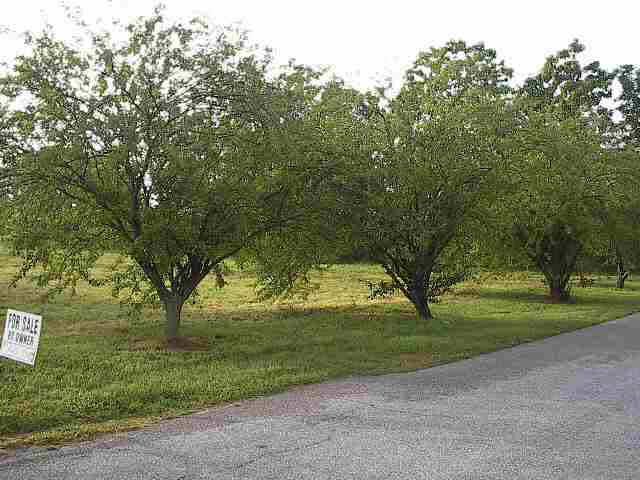 7005 Beal Road Vincennes, IN 47591 - Photo 2 of 3 Gallery Image 2