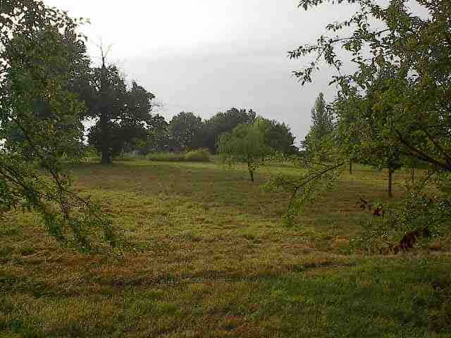7005 Beal Road Vincennes, IN 47591 - Photo 3 of 3 Gallery Image 3