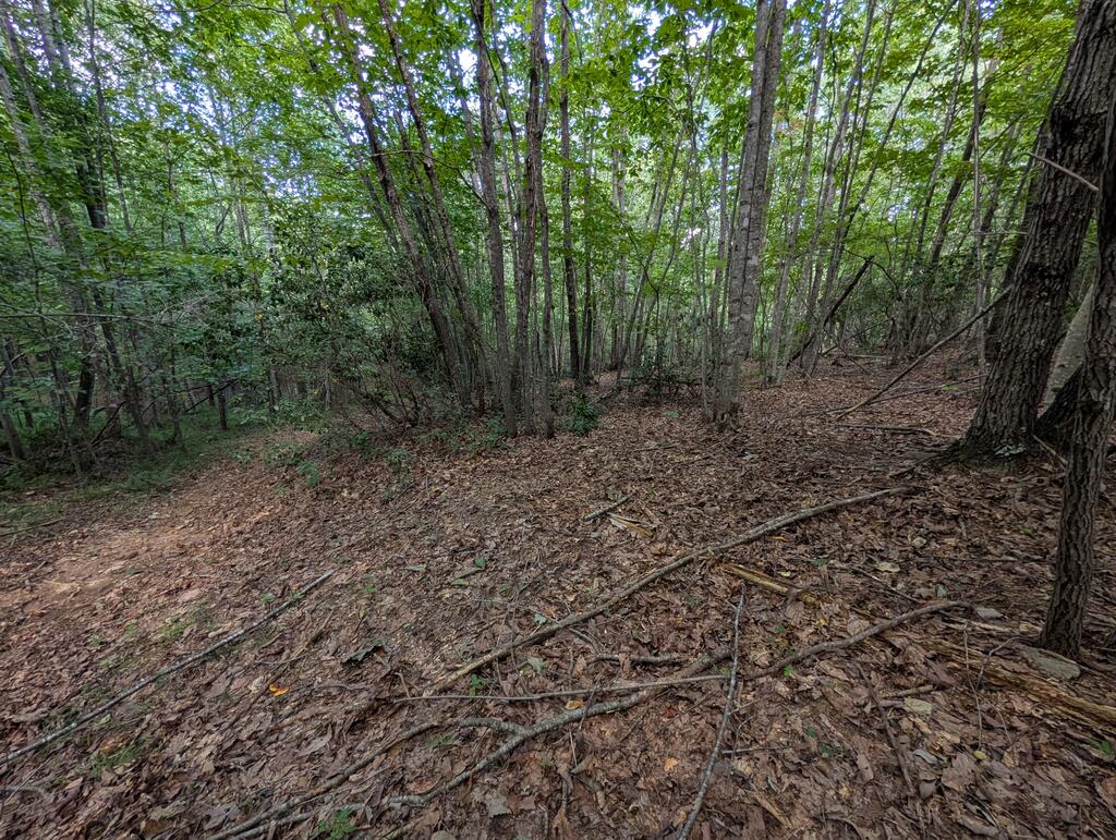 310 Vfw Road Patrick Springs, VA 24133 - Photo 33 of 36 Gallery Image 33