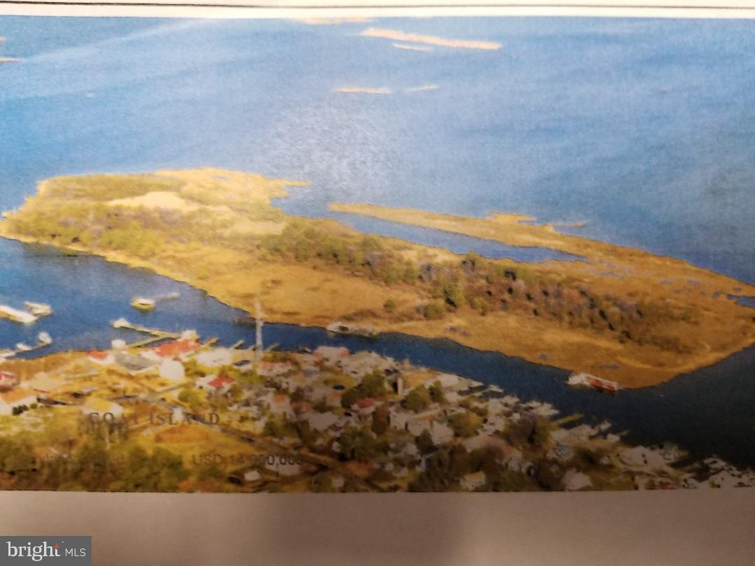 0 Unknown Road Ewell, MD 21824 - Photo 3 of 4 a view of beach and ocean