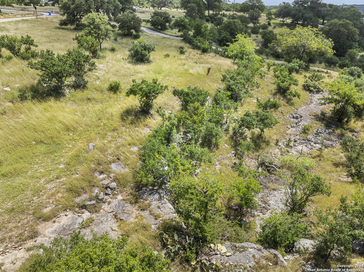 Lot 69 Sabinas Springs Road Boerne, TX 78006 - Photo 12 of 54 a view of a garden with a tree
