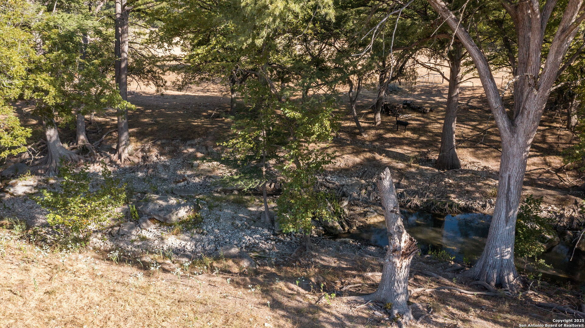 Lot 69 Sabinas Springs Road Boerne, TX 78006 - Photo 20 of 54 a view of a tree