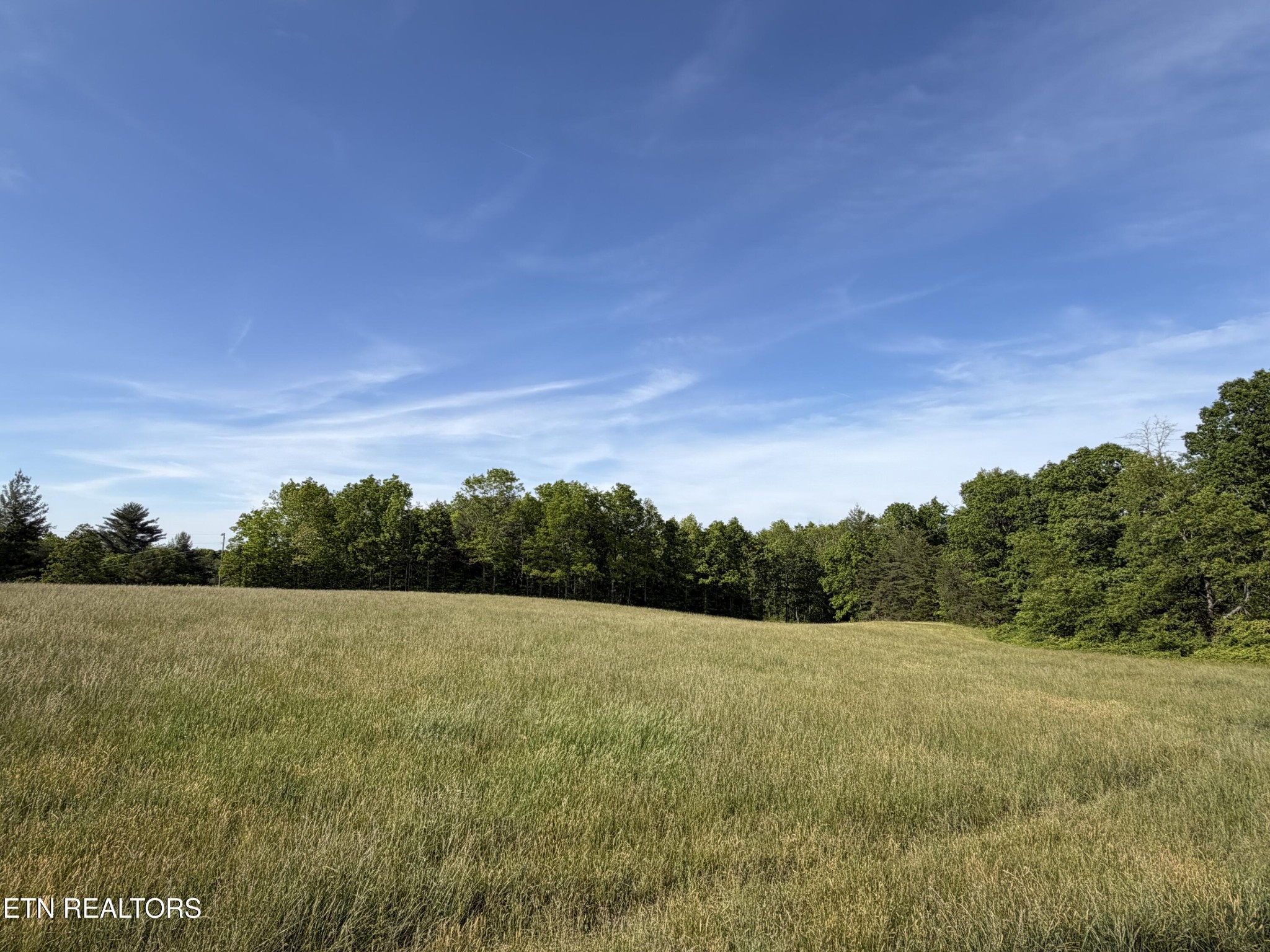 110 Don Conatser Road Allardt, TN 38504 - Photo 35 of 38 a view of a field with trees in background