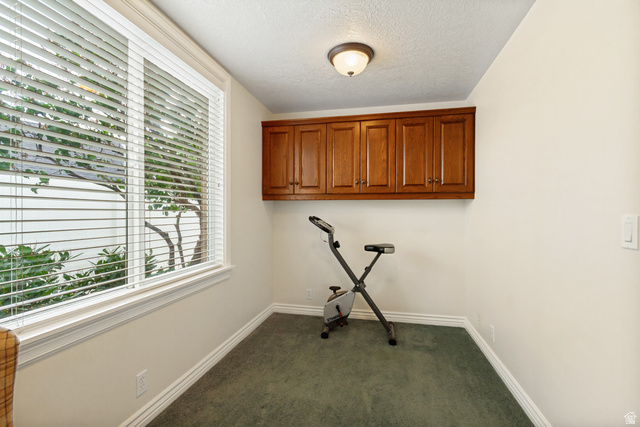 298 North Canyon Road Bountiful, UT 84010 - Photo 39 of 57 Room featuring a large window with horizontal blinds, built-in wooden cabinetry, a ceiling-mounted light fixture, and wall-to-wall carpeting