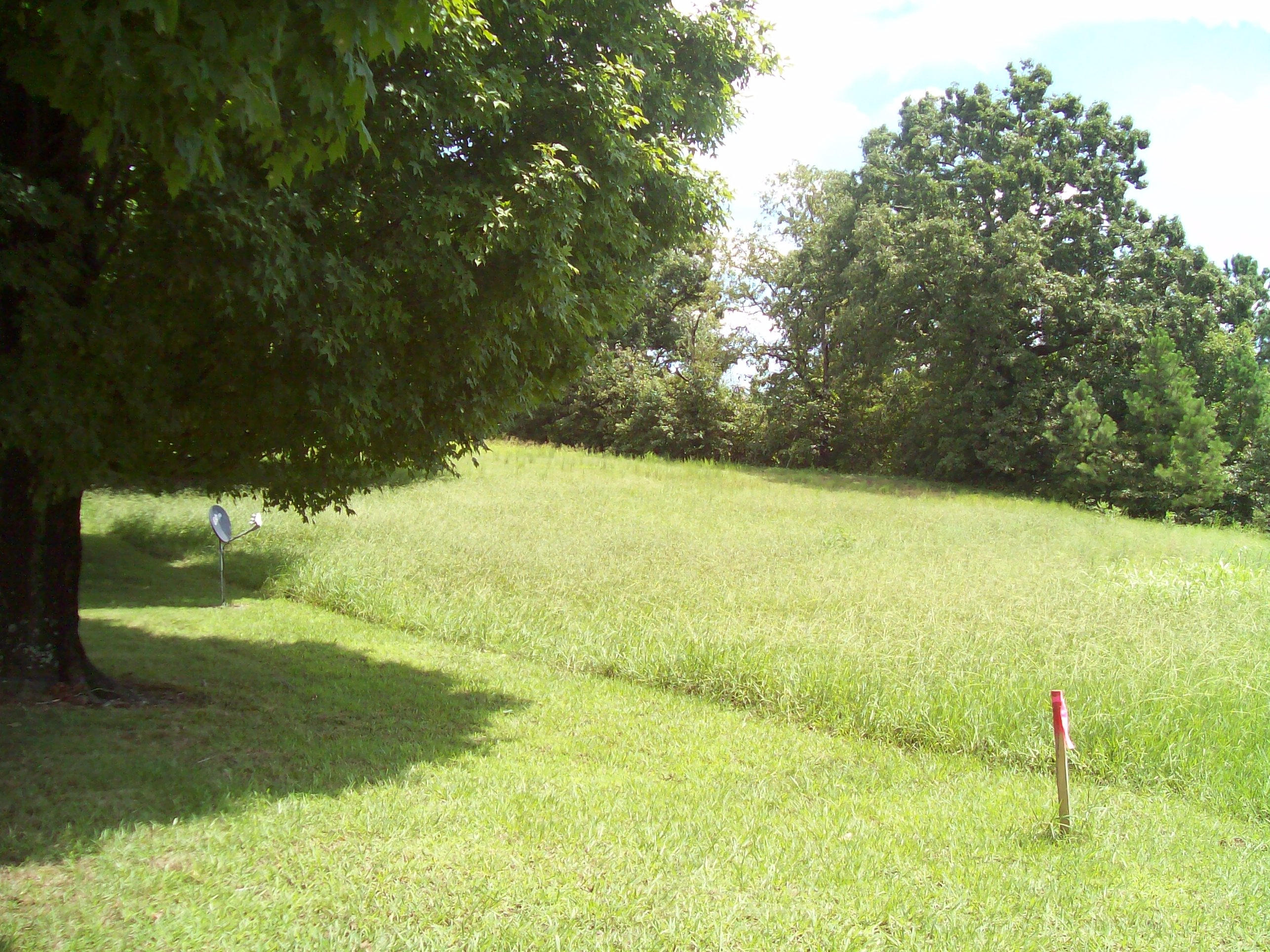 2812 Oakland Road Philadelphia, TN 37846 - Photo 38 of 40 036