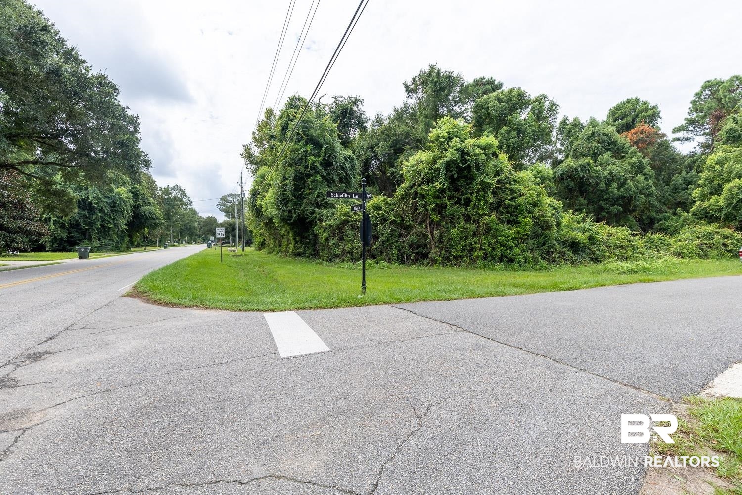 0 Main Street Daphne, AL 36526 - Photo 2 of 6