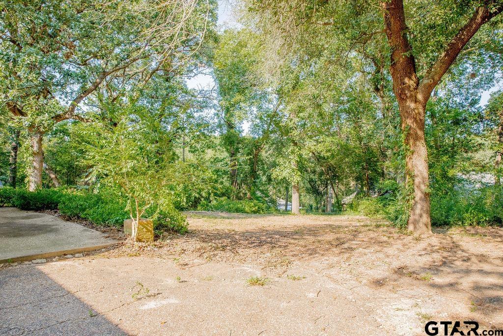439 Lone Star Lane Hideaway, TX 75771 - Photo 34 of 36 a view of a yard with plants and trees