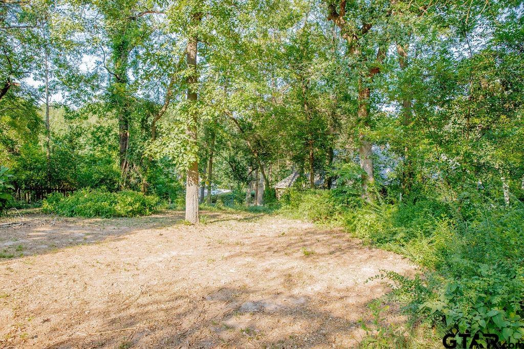 439 Lone Star Lane Hideaway, TX 75771 - Photo 35 of 36 a view of a dirt road with trees in the background