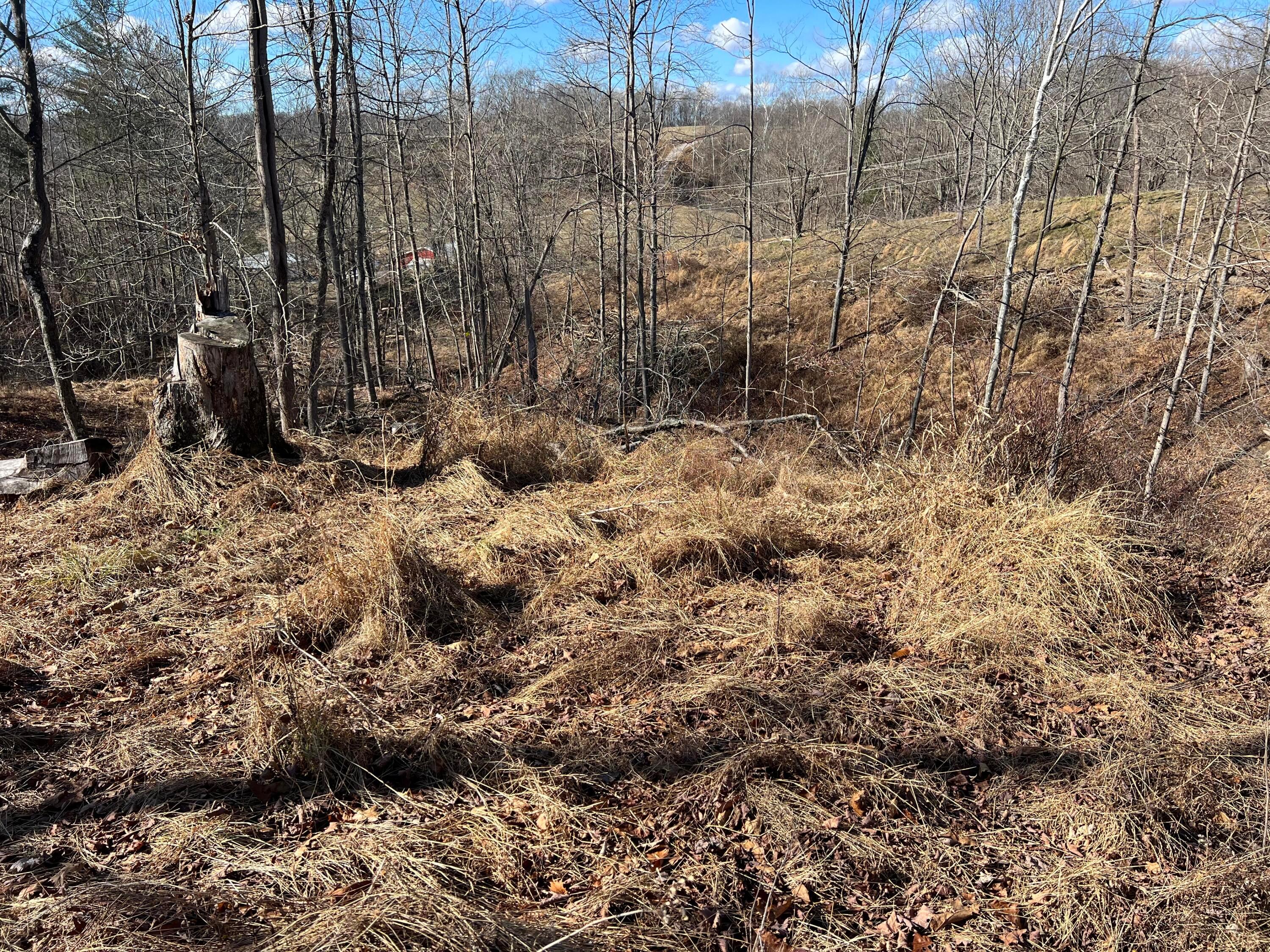0 McGrath Road, Unit MCGRATH TRACT 3) Athens, OH 45701 - Photo 24 of 27 20240111_182144523_iOS