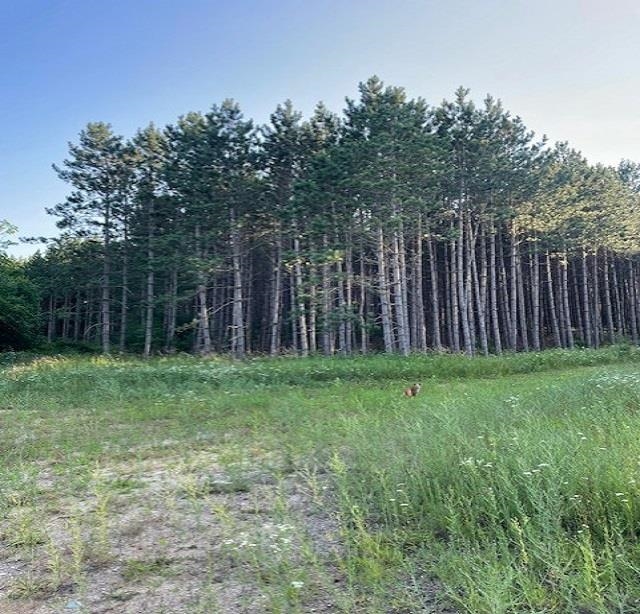 0 East Stockwell Road Harrison, MI 48625 - Photo 18 of 34