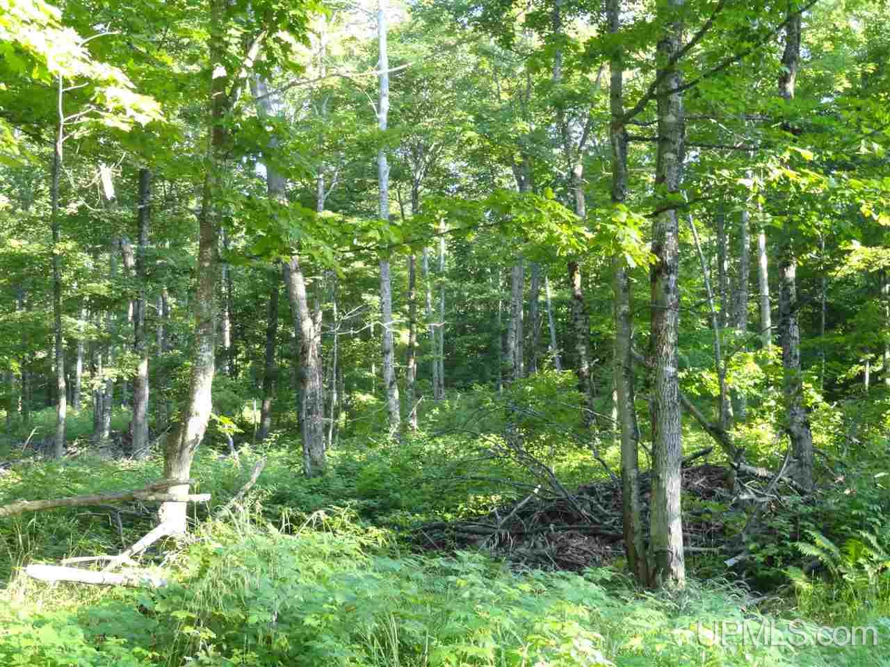 80 NORTH Off Co Road Ishpeming, MI 49849 - Photo 14 of 19
