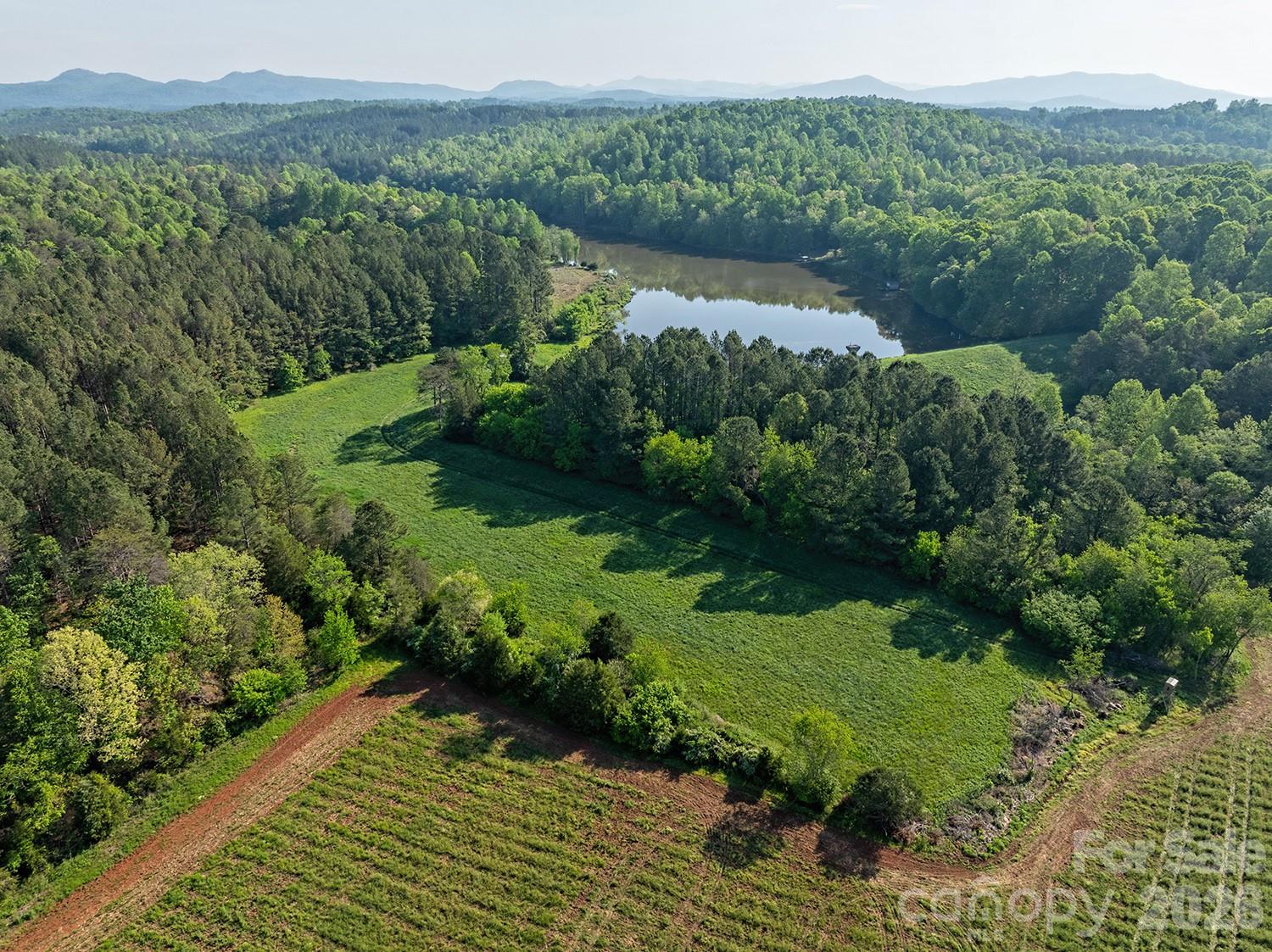 5555 Groves Road Union Mills, NC 28167 - Photo 11 of 26 a view of a lush green forest with trees and some houses