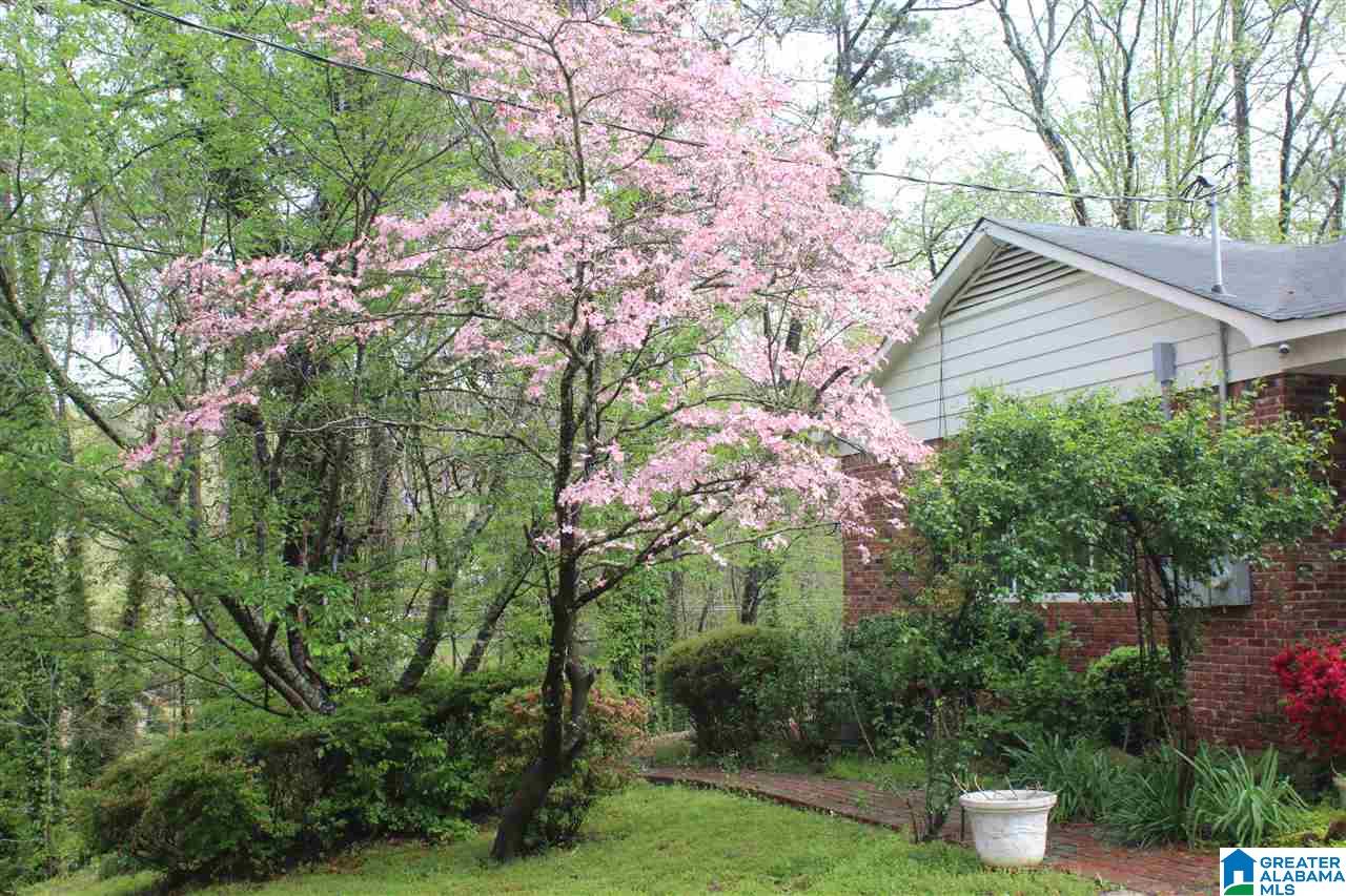 807 South Walston Bridge Road Jasper, AL 35501 - Photo 4 of 39 Gallery Image 4
