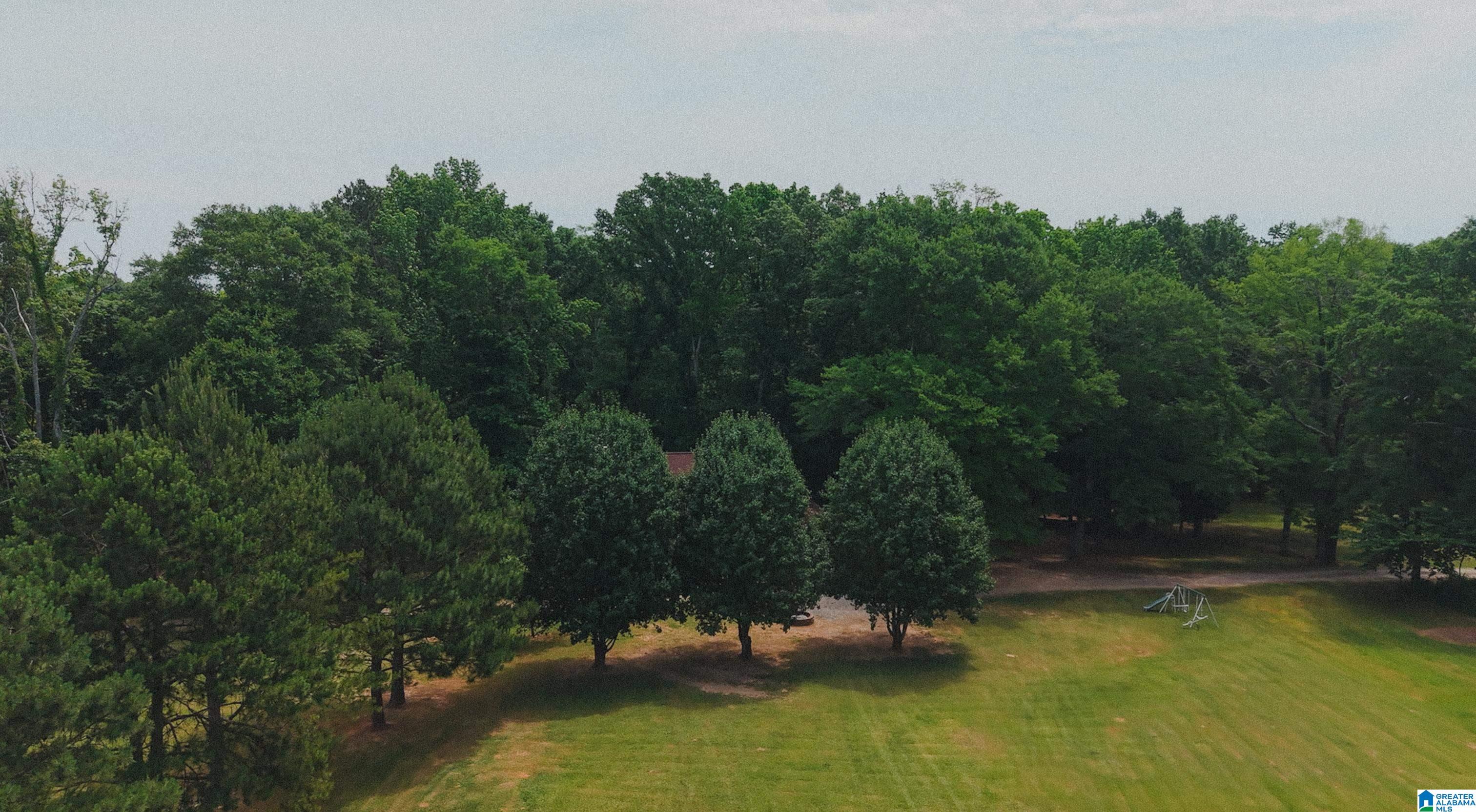 544 Fann Road Steele, AL 35987 - Photo 64 of 84
