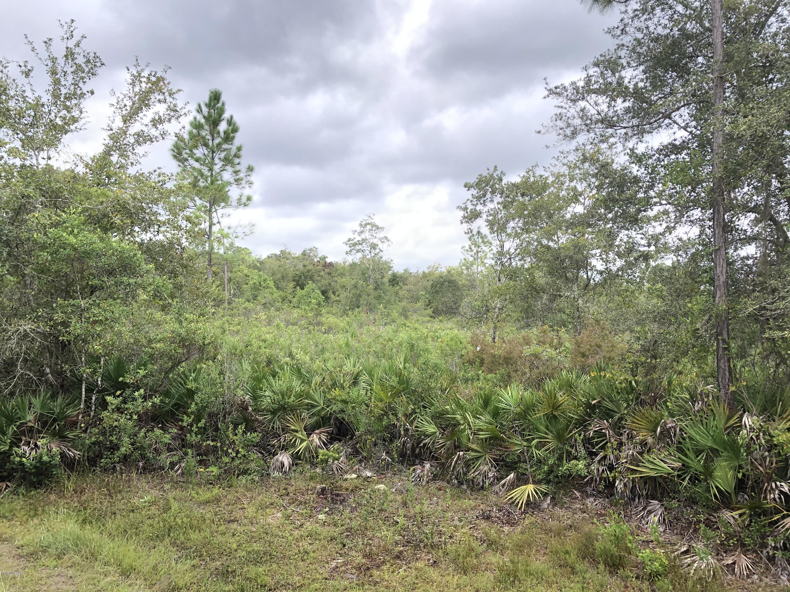 1 Dexter Road Astor, FL 32102 - Photo 6 of 16 IMG_4047