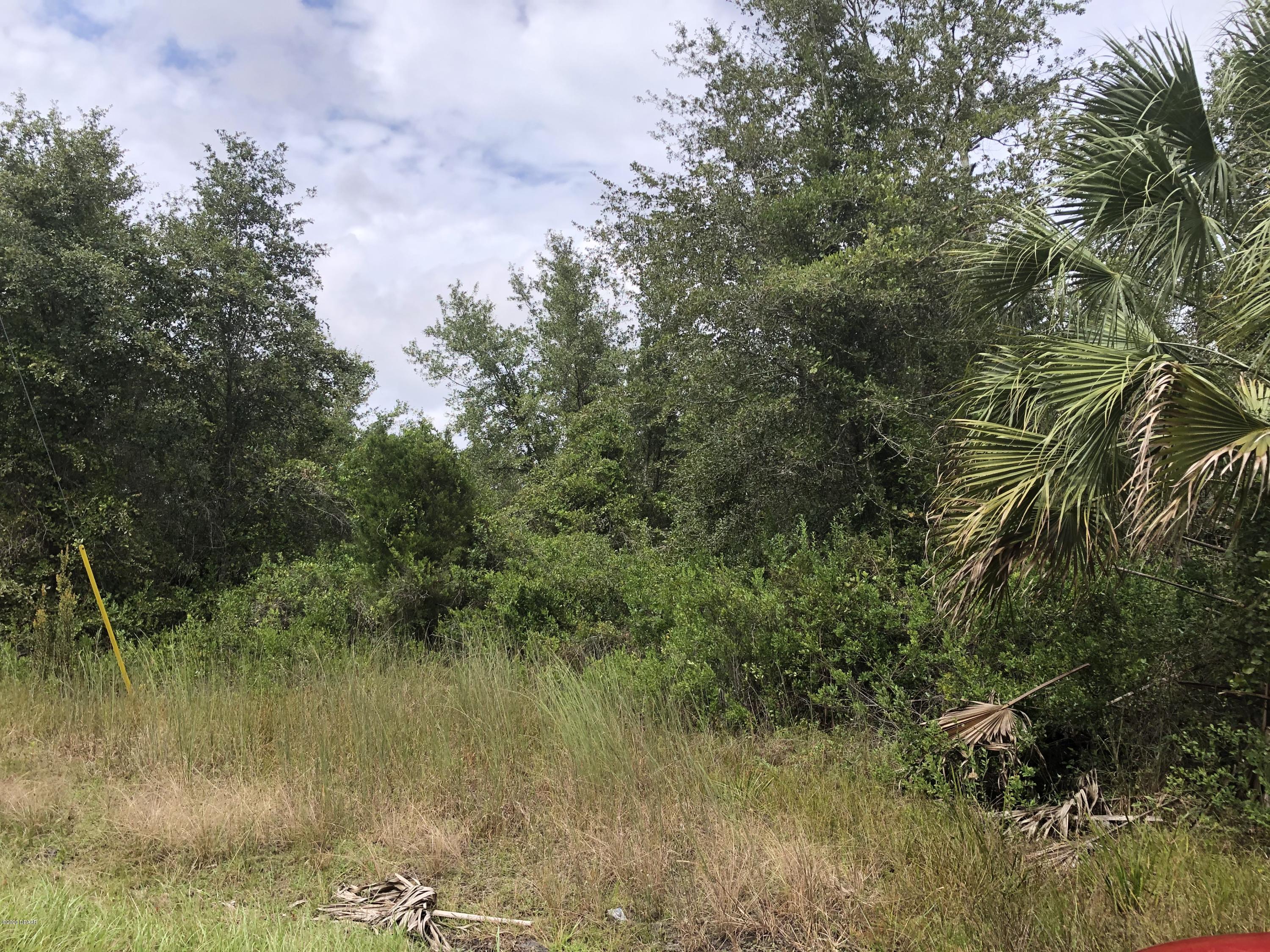 1 Dexter Road Astor, FL 32102 - Photo 9 of 16 IMG_4052