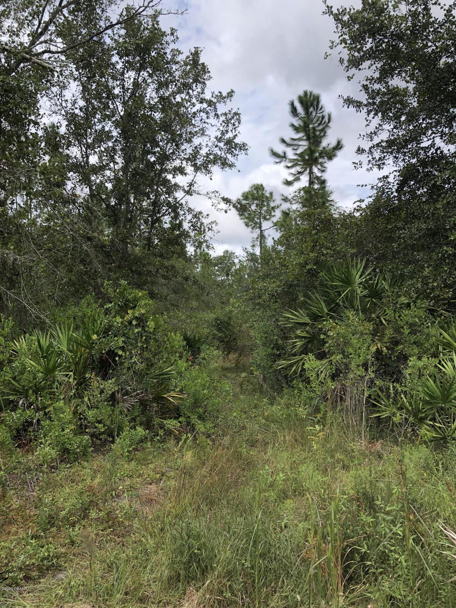 1 Dexter Road Astor, FL 32102 - Photo 10 of 16 IMG_4053