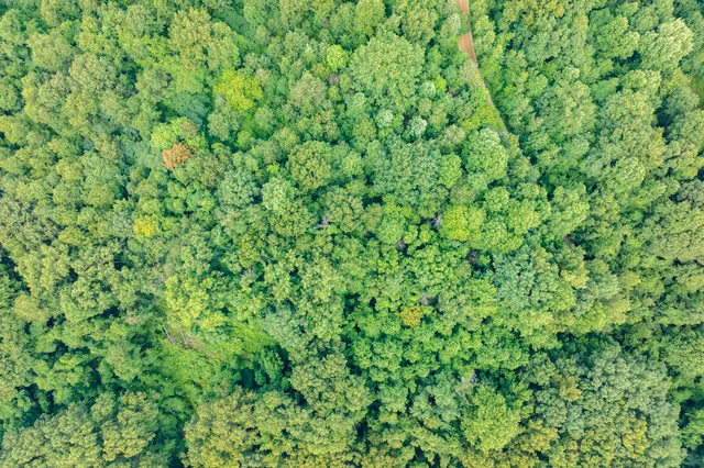 $24,900 | Vl Vl Territorial Road, Unit LOT B3, Lawrence, MI 49064