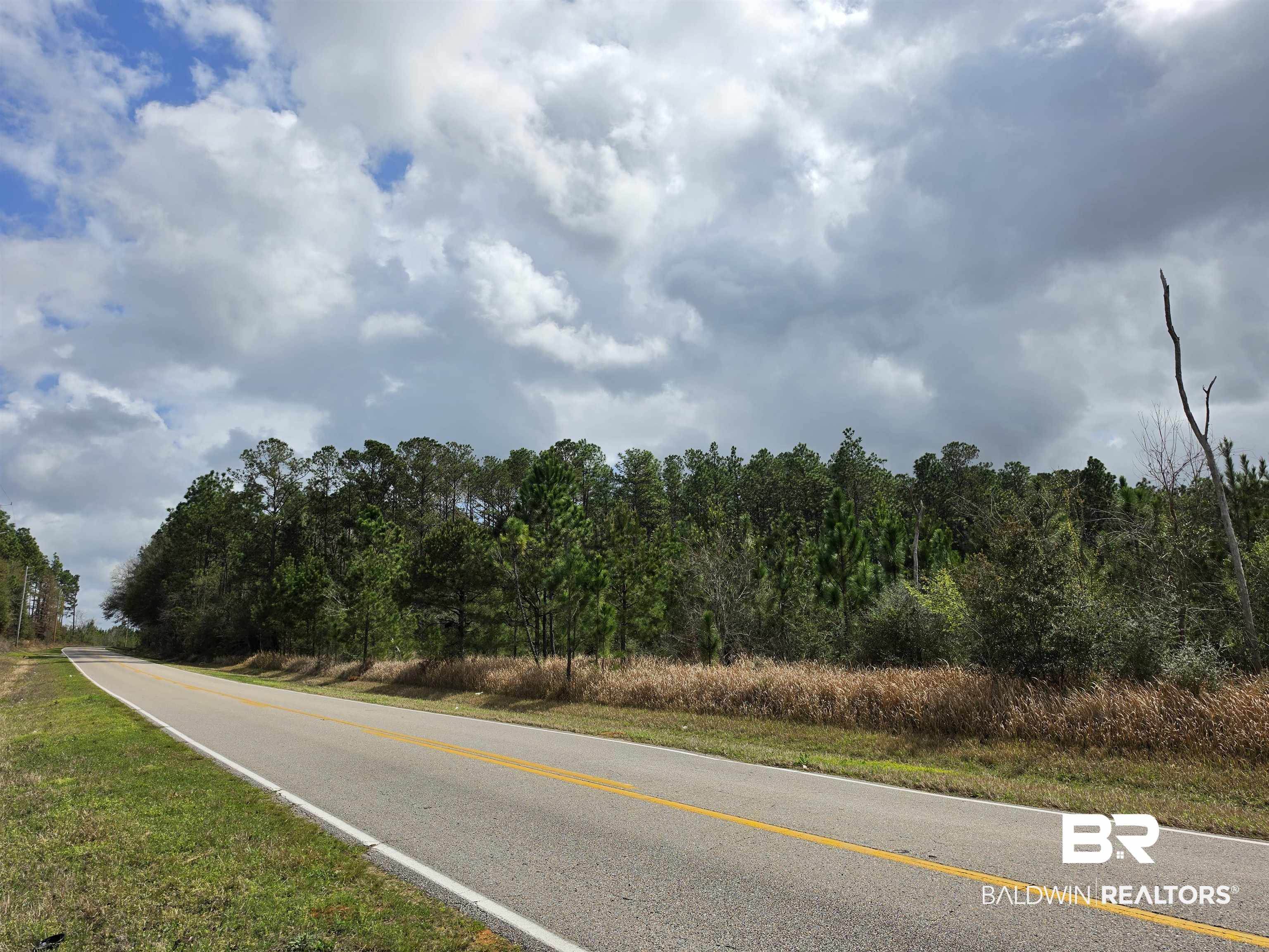 0 Henry Davis Road Chunchula, AL 36521 - Photo 1 of 2