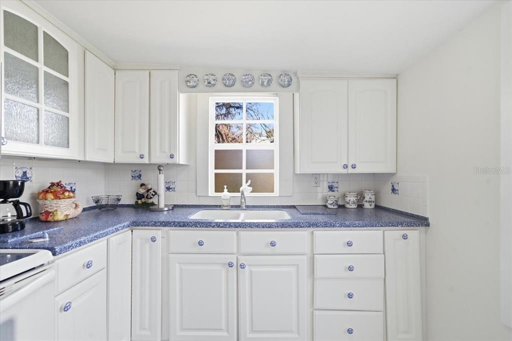 19513 Deer Lake Road Lutz, FL 33548 - Photo 13 of 35