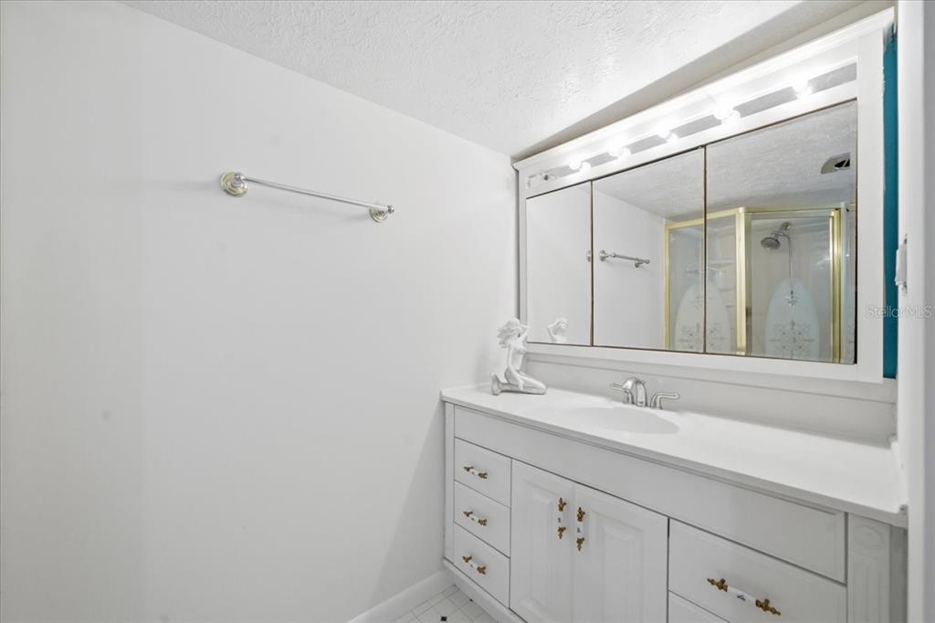 19513 Deer Lake Road Lutz, FL 33548 - Photo 20 of 35