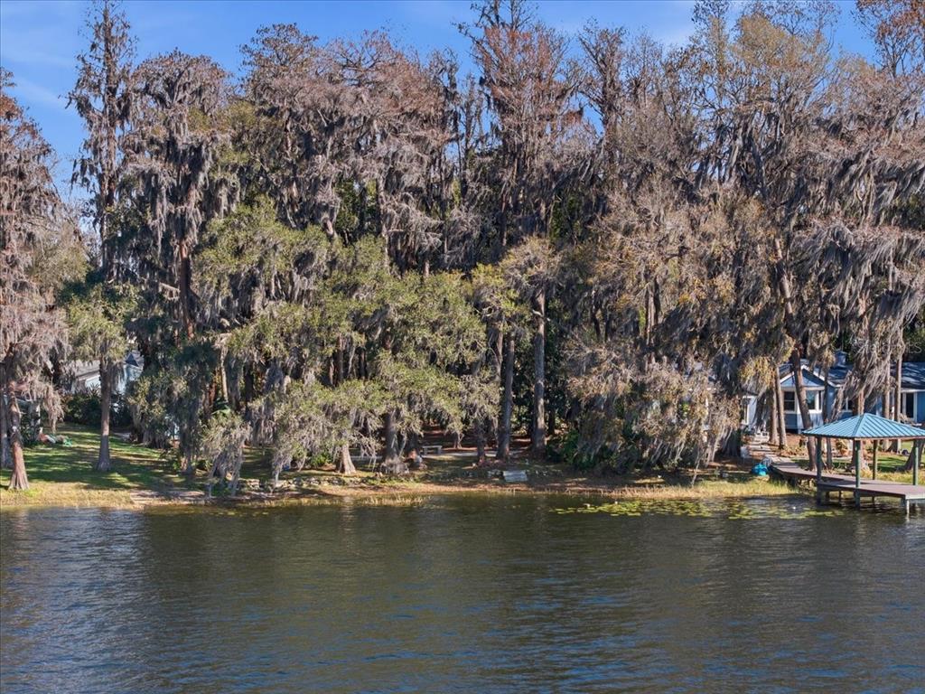 19513 Deer Lake Road Lutz, FL 33548 - Photo 28 of 35