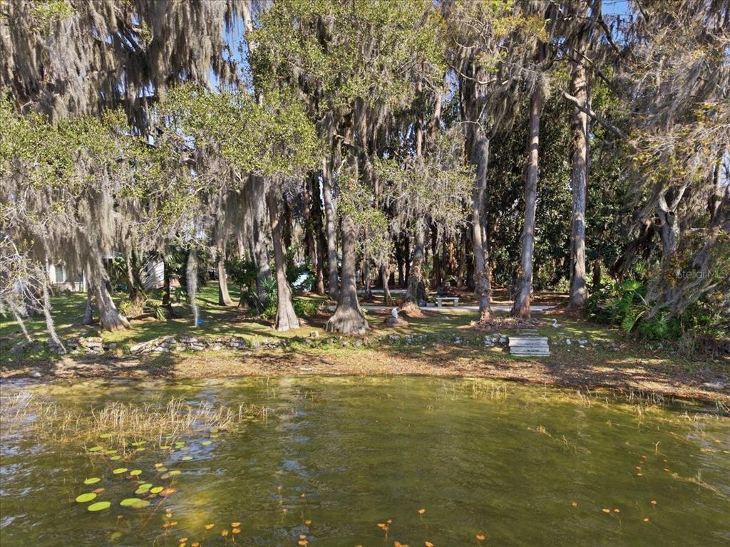 19513 Deer Lake Road Lutz, FL 33548 - Photo 5 of 35